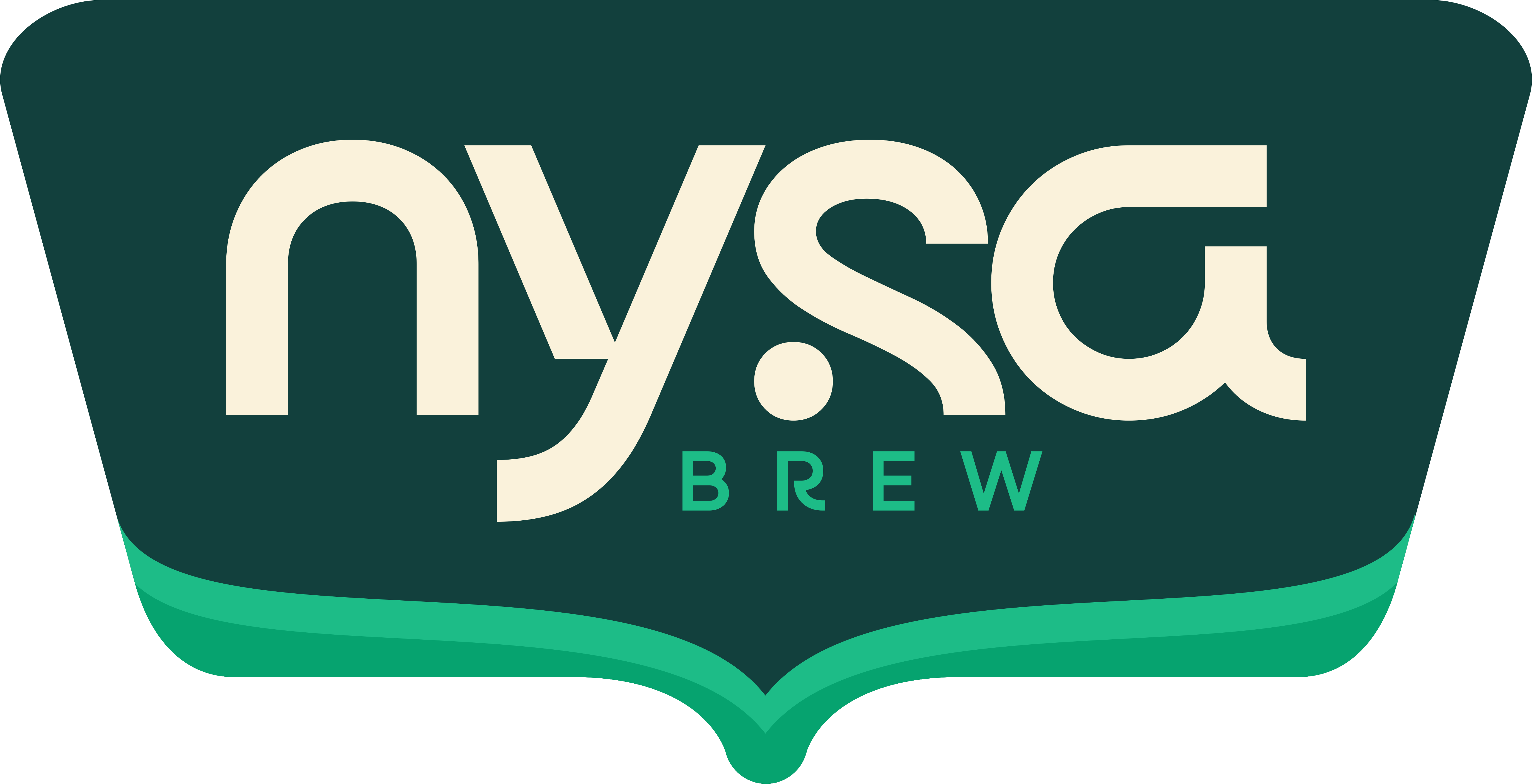Nysa logo